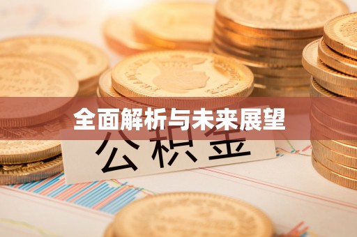 兴国全面解析与未来展望