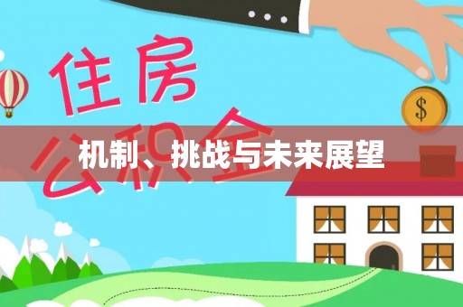 兴国机制、挑战与未来展望