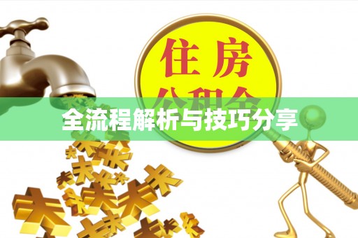 兴国全流程解析与技巧分享
