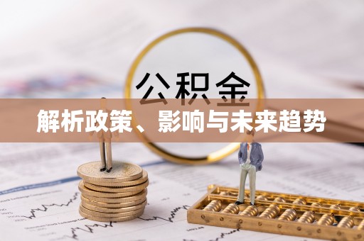 兴国解析政策、影响与未来趋势