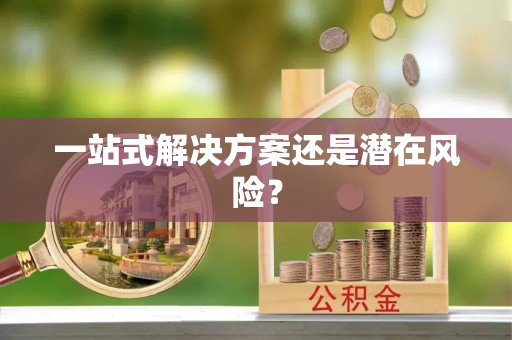 兴国一站式解决方案还是潜在风险？