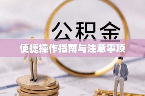兴国便捷操作指南与注意事项