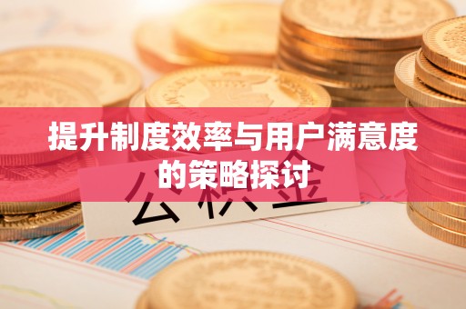 兴国提升制度效率与用户满意度的策略探讨