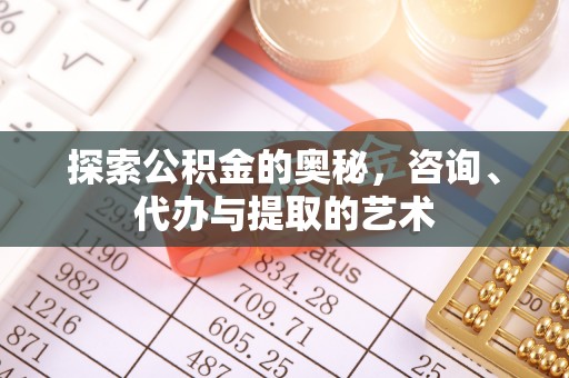 兴国探索公积金的奥秘，咨询、代办与提取的艺术